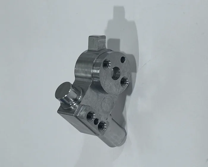 Ankle joint shaft, reverse side with mounting features